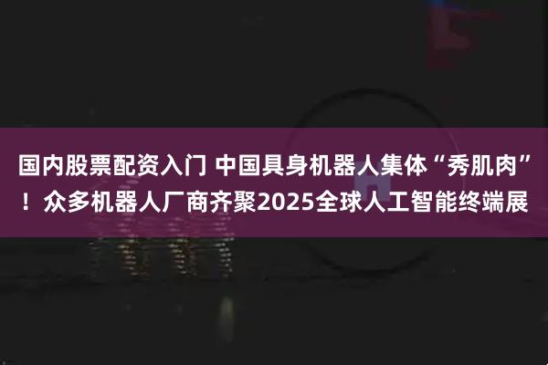 国内股票配资入门 中国具身机器人集体“秀肌肉”！众多机器人厂商齐聚2025全球人工智能终端展