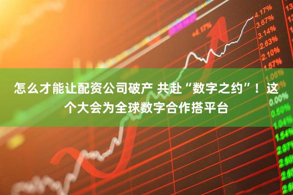 怎么才能让配资公司破产 共赴“数字之约”！这个大会为全球数字合作搭平台