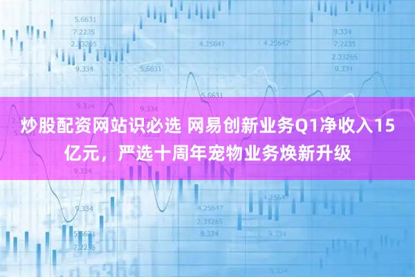 炒股配资网站识必选 网易创新业务Q1净收入15亿元，严选十周年宠物业务焕新升级